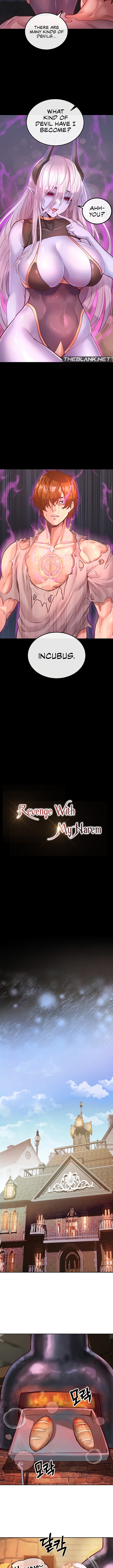 Revenge With My Harem NEW image