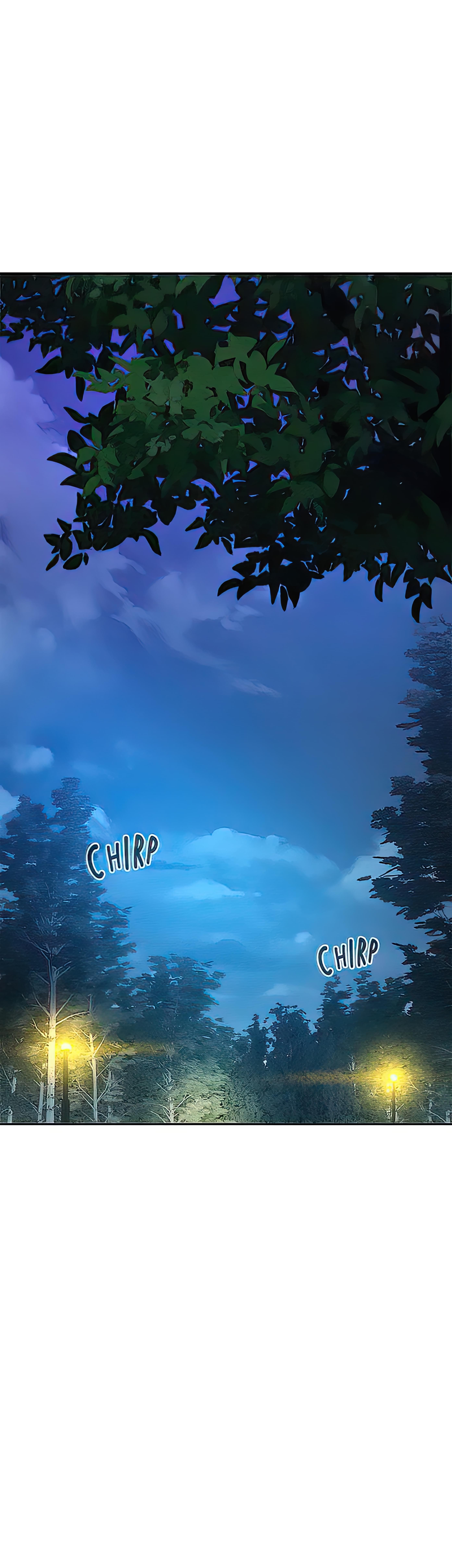 Romantic Camping image
