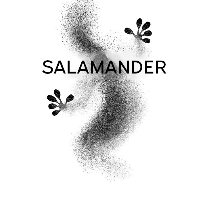 Salamander image