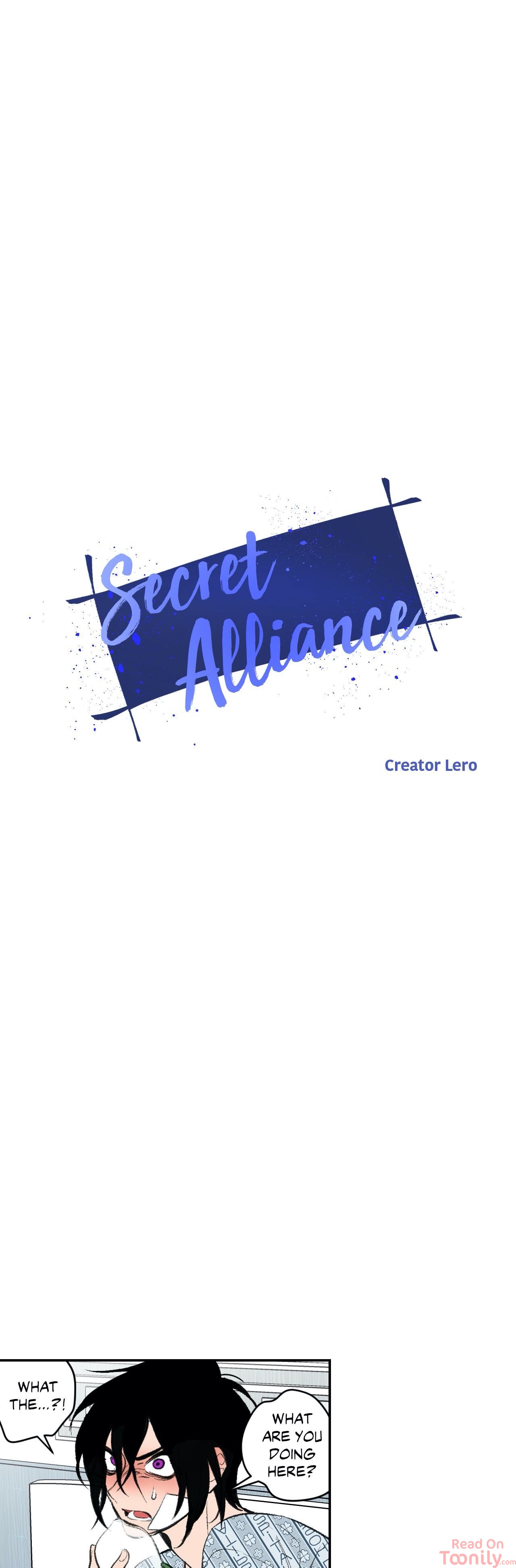 Secret Alliance image