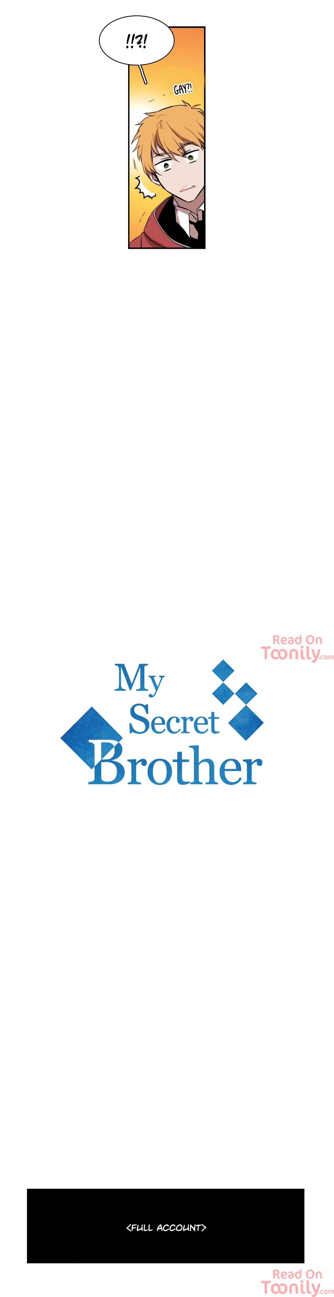 My Secret Brother image