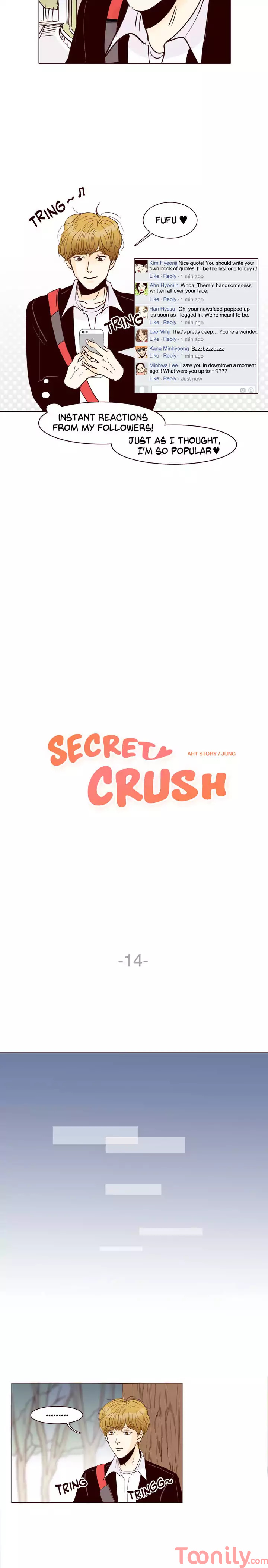 Secret Crush image