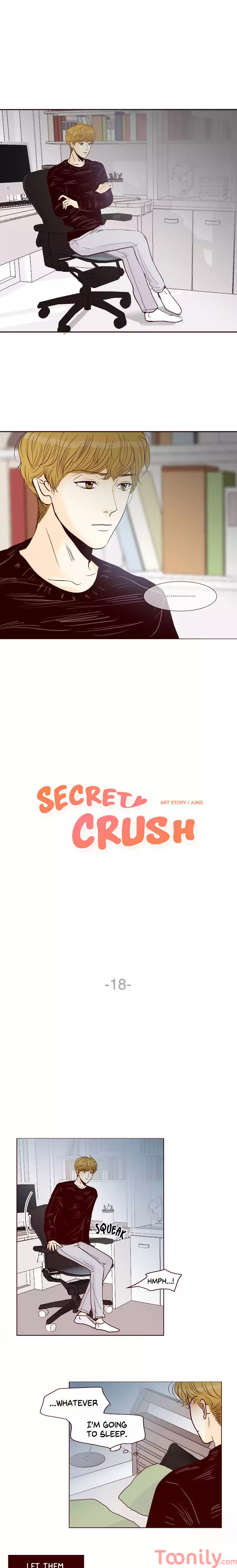 Secret Crush image