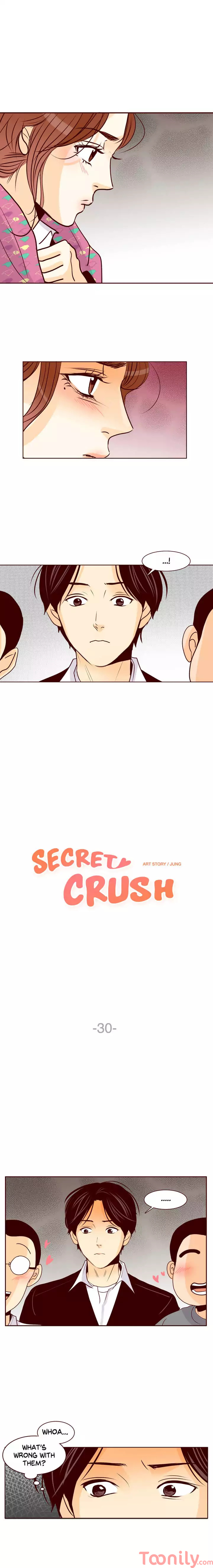 Secret Crush image