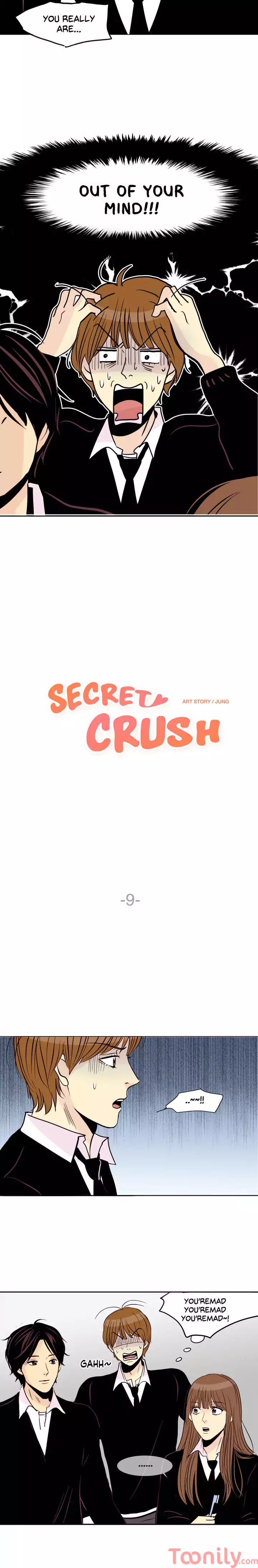 Secret Crush image