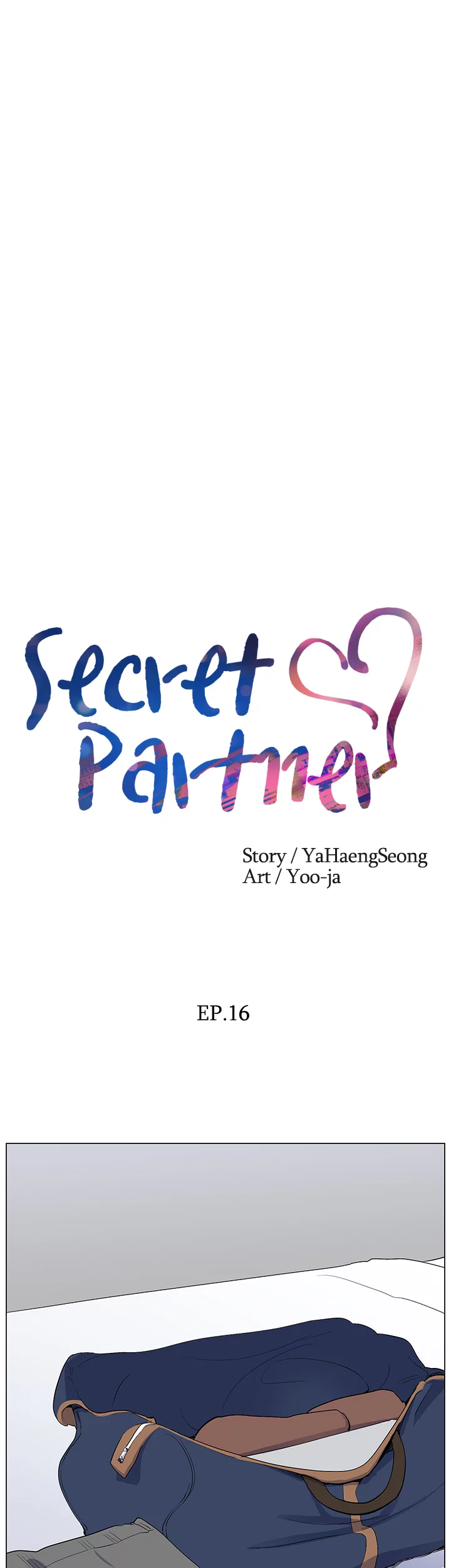 Secret Partner image