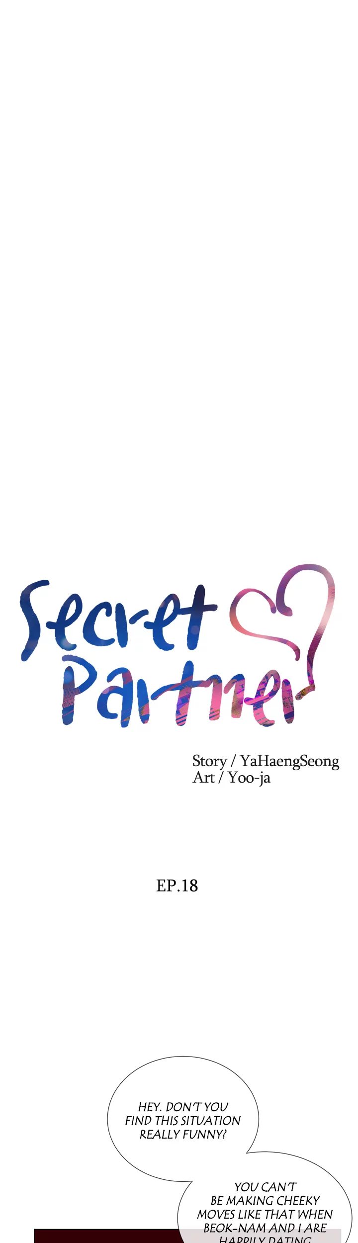 Secret Partner image