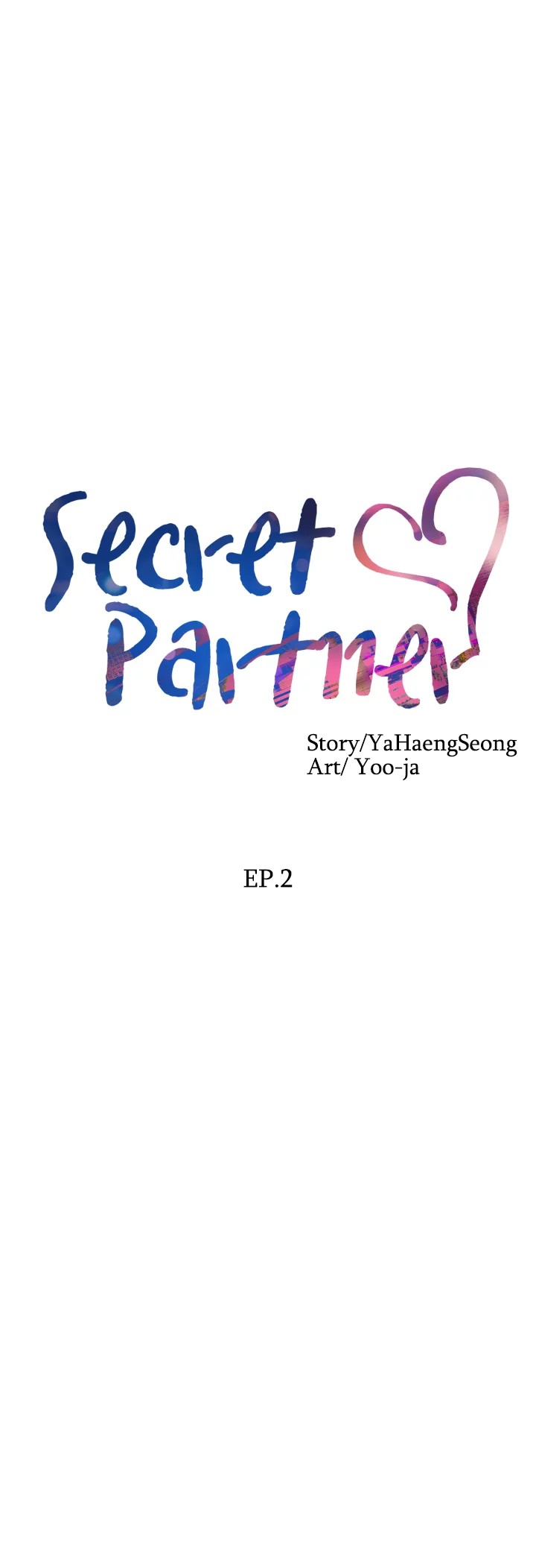 Secret Partner image