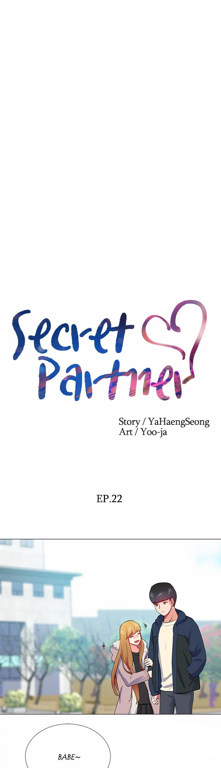 Secret Partner image