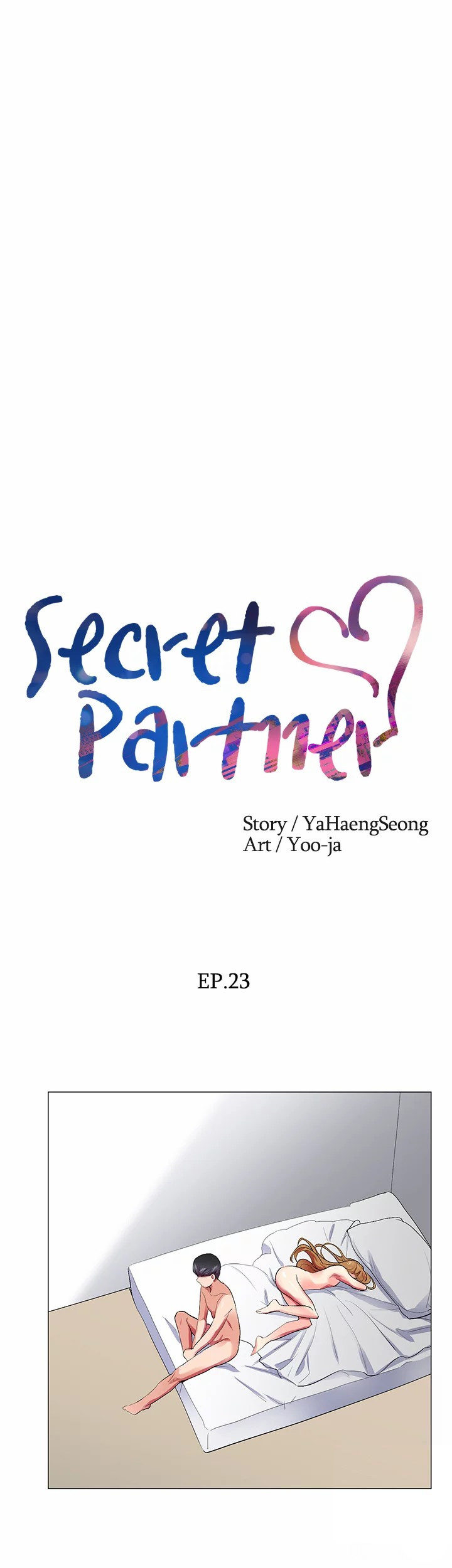 Secret Partner image