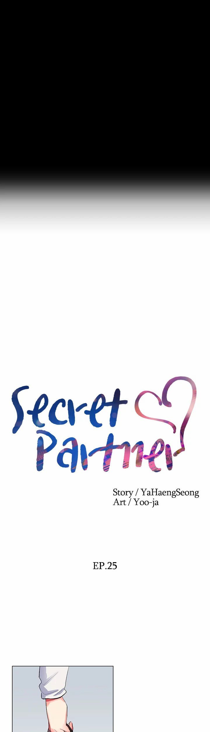 Secret Partner image