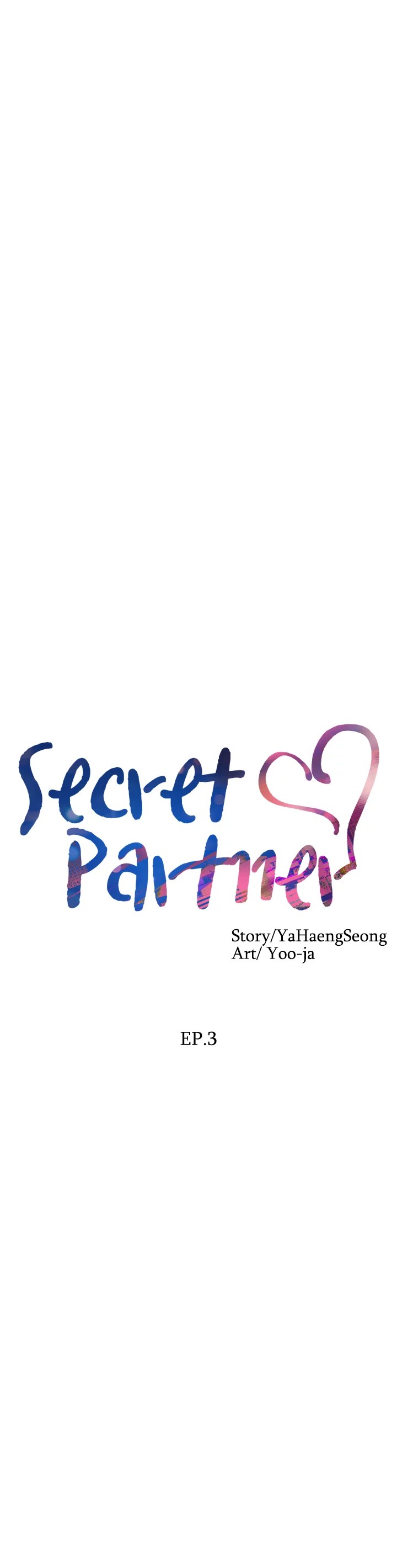 Secret Partner image