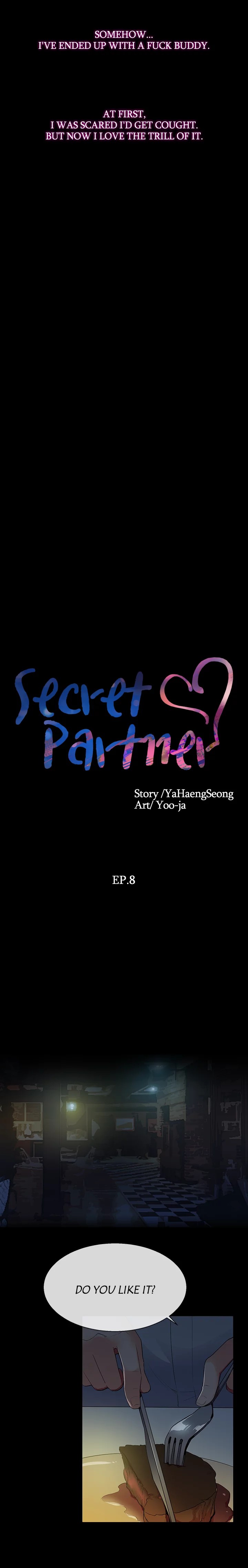 Secret Partner image