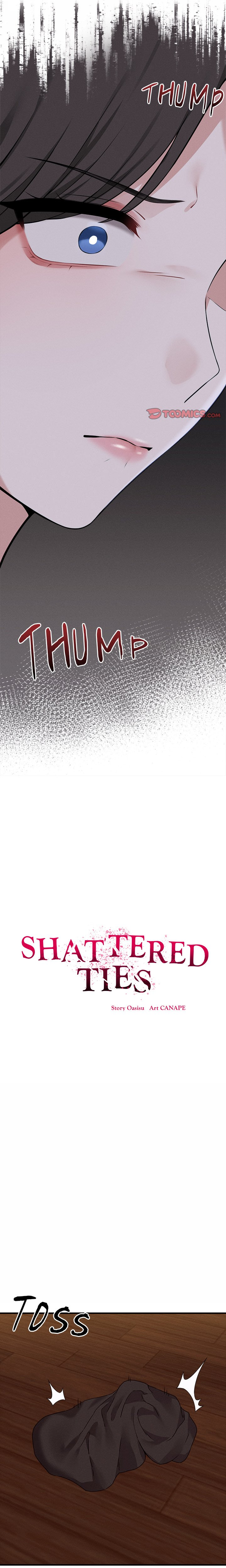 Shattered Ties NEW image