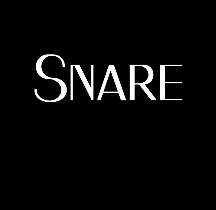 Snare image