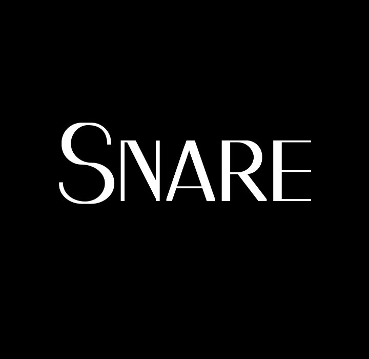 Snare image