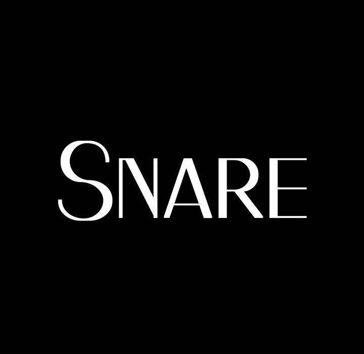 Snare image