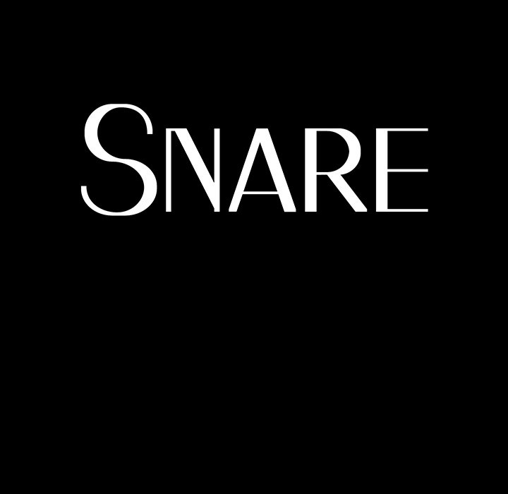 Snare image