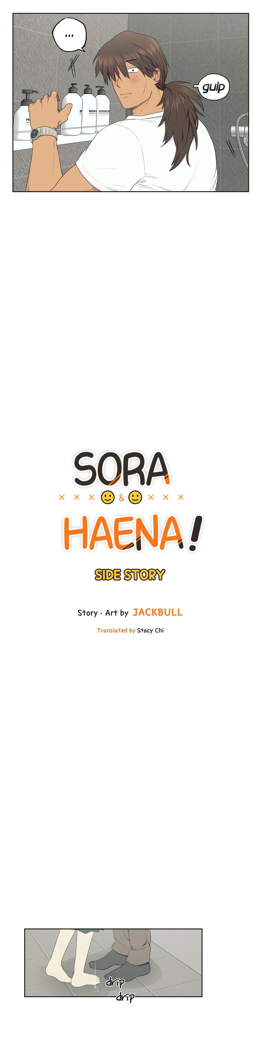 Sora & Haena END image