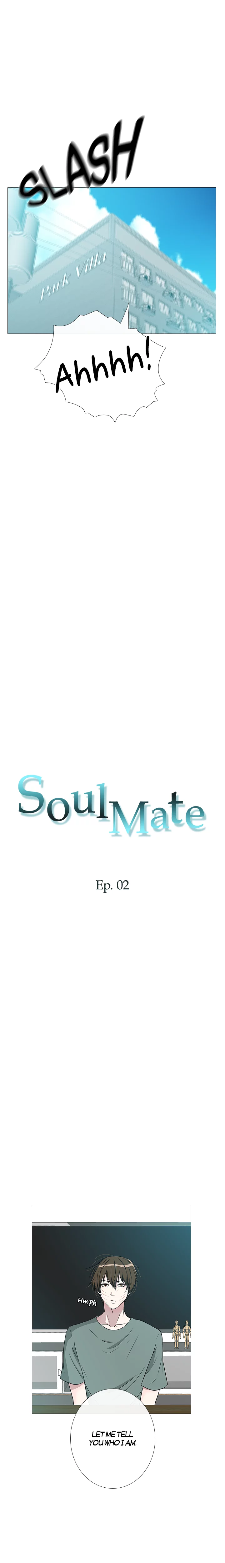 Soulmate image