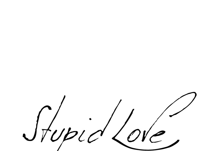 Stupid Love image