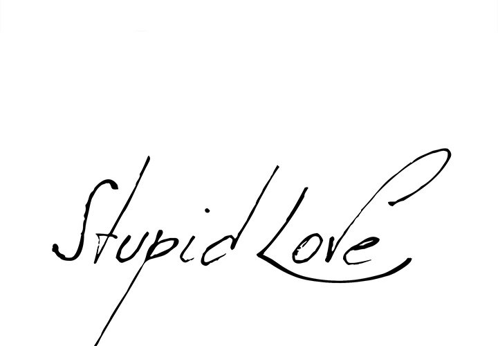 Stupid Love image