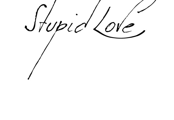 Stupid Love image