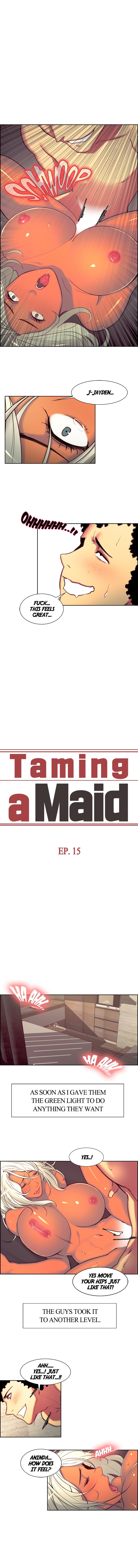 Taming a Maid image