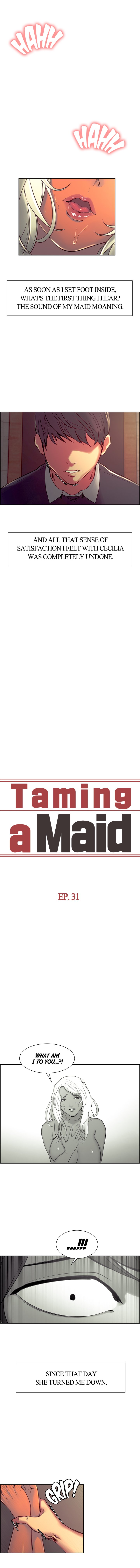 Taming a Maid image