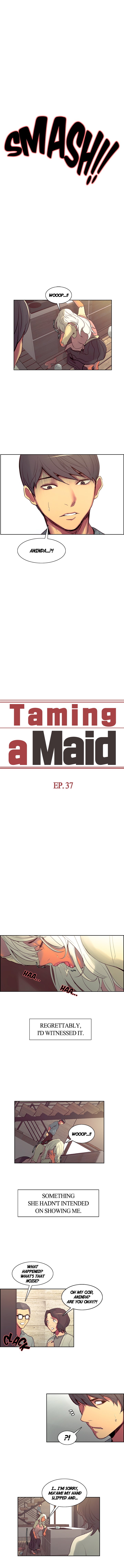 Taming a Maid image