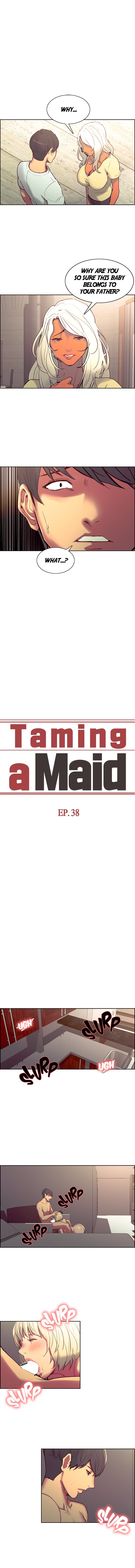 Taming a Maid image