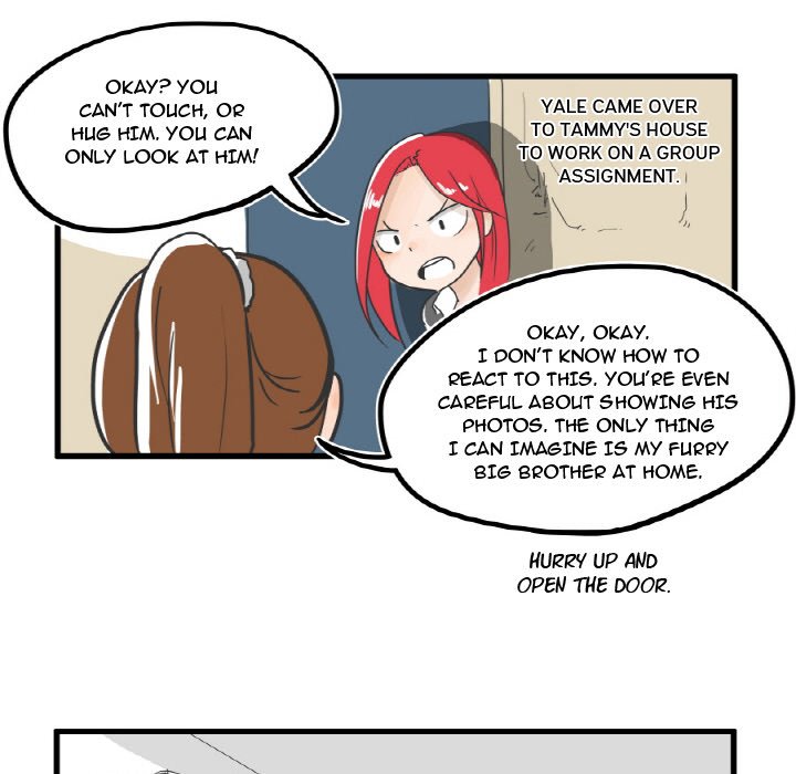 The Amazing Siblings image