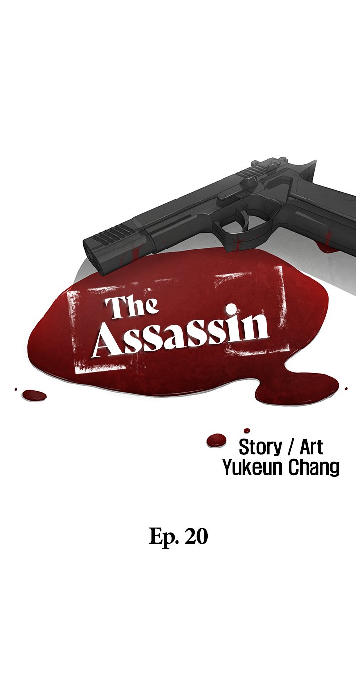 The Assassin image