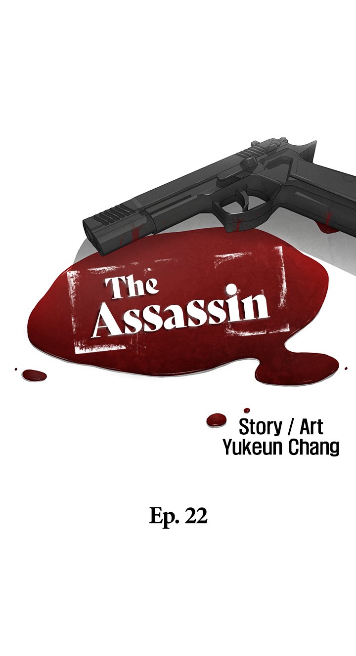 The Assassin image