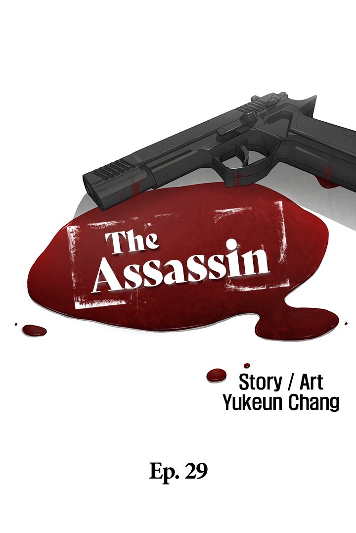 The Assassin image