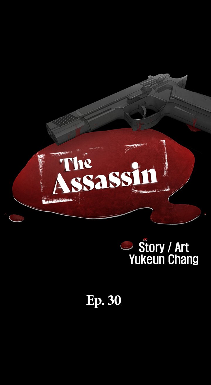 The Assassin image