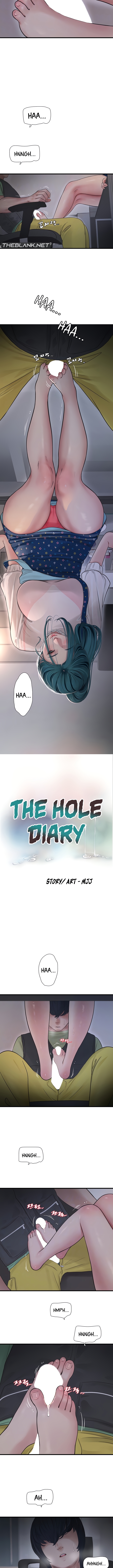 The Hole Diary NEW image