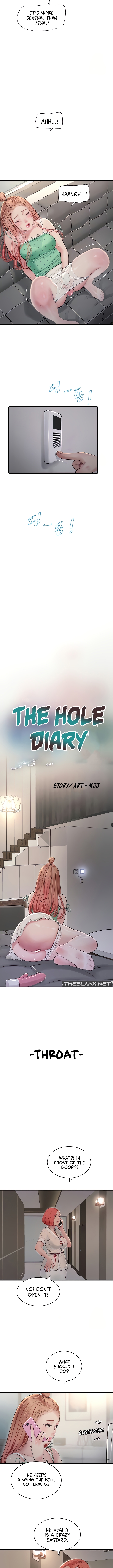 The Hole Diary NEW image