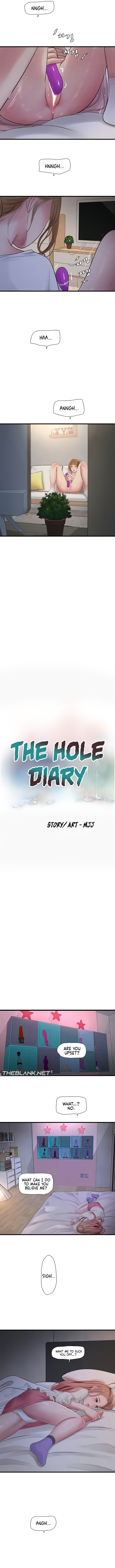 The Hole Diary NEW image