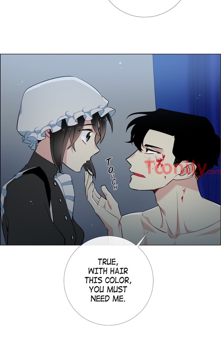 The Maid and the Vampire image