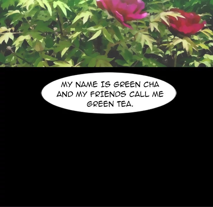 The non Smoker image