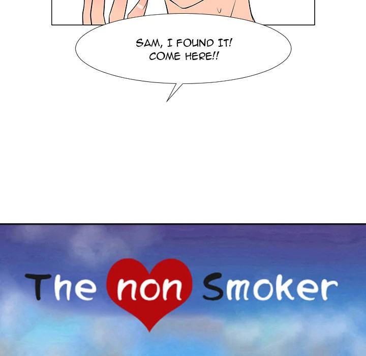 The non Smoker image