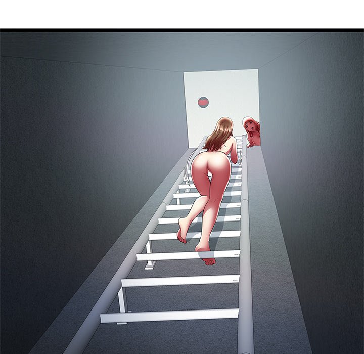 The Paradise image