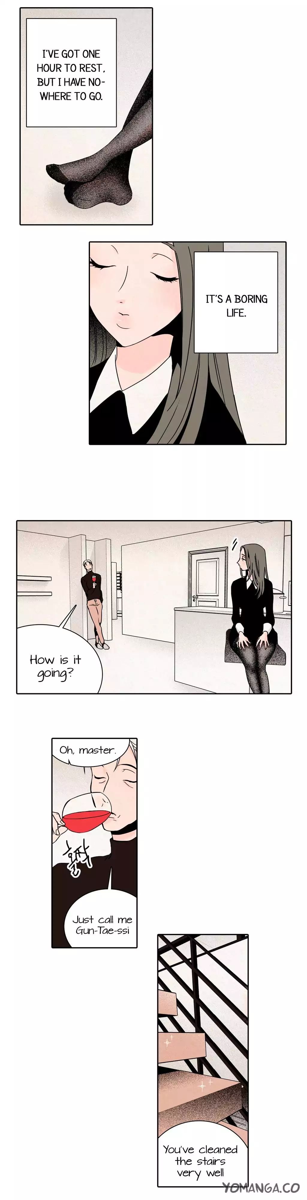 Rabbit Hole image