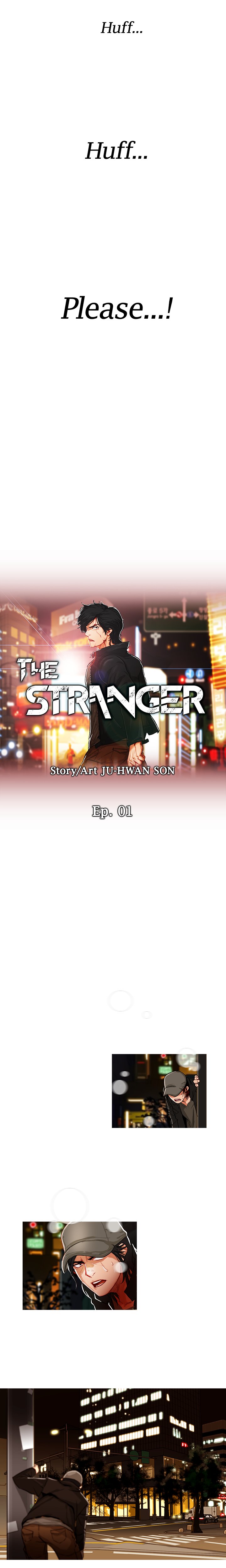 The Stranger image