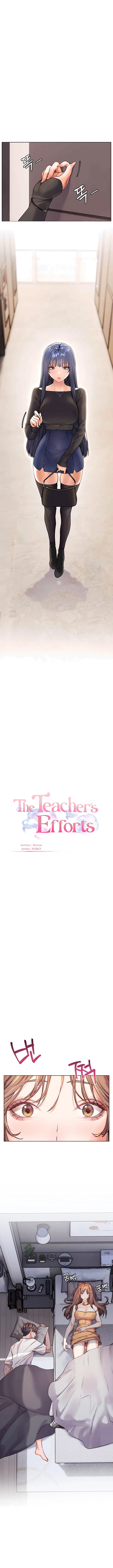 The Teachers’ Efforts NEW image