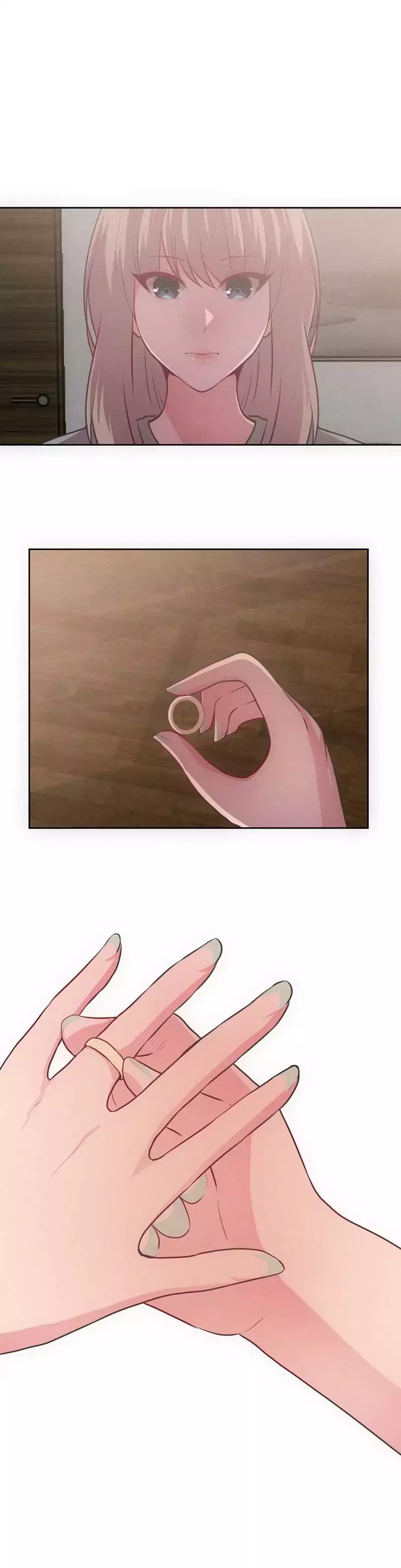 The Third Party image