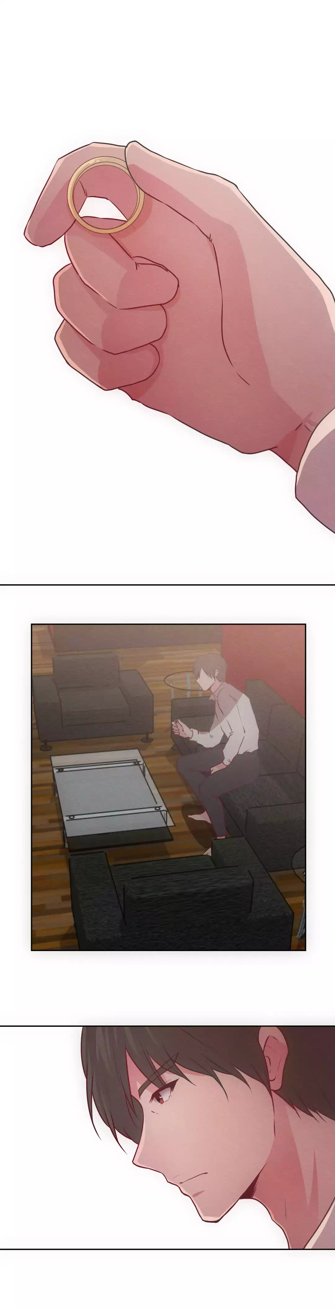 The Third Party image