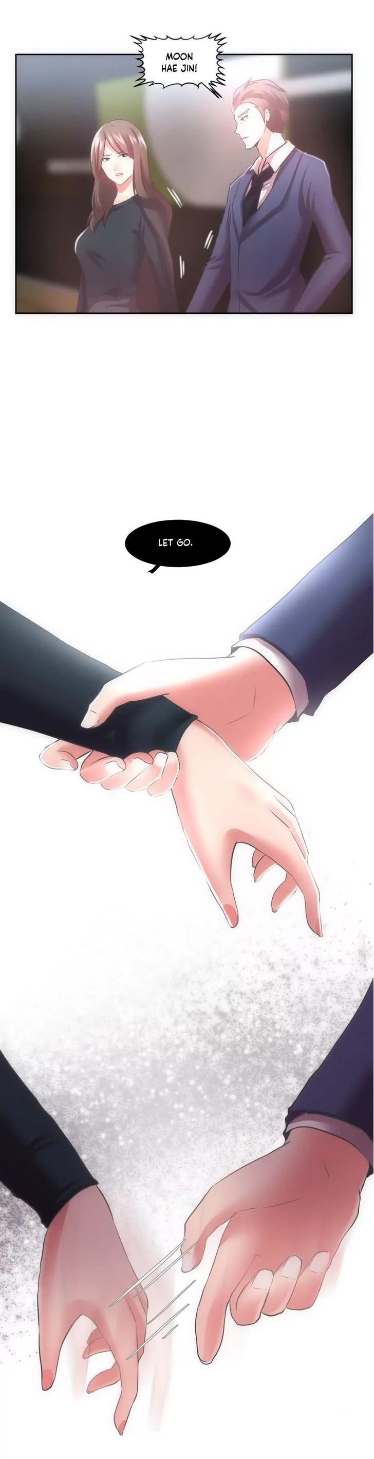 The Third Party image
