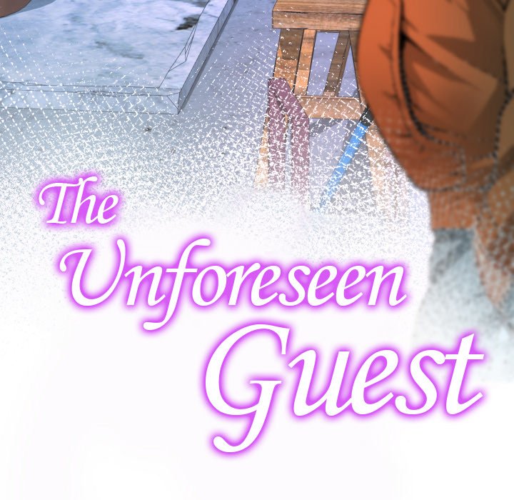 The Unforeseen Guest image